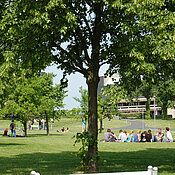 Schmuckbild vom Hubland-Campus. (Foto: Gunnar Bartsch)